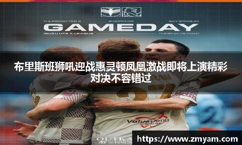布里斯班狮吼迎战惠灵顿凤凰激战即将上演精彩对决不容错过